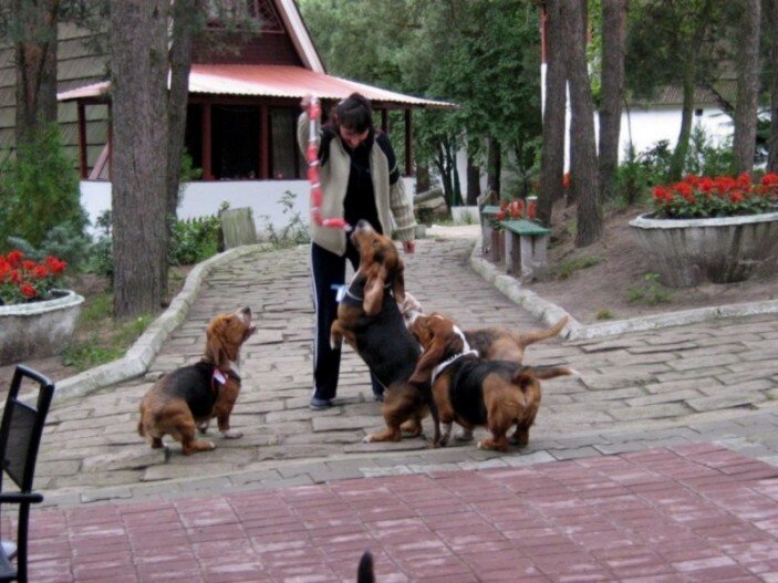 i kto złapie kiełbaskę i kto złapie kiełbaskę